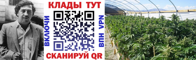 МАРИХУАНА Соль-Илецк