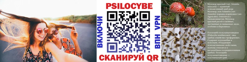 Псилоцибиновые грибы прущие грибы  Соль-Илецк 